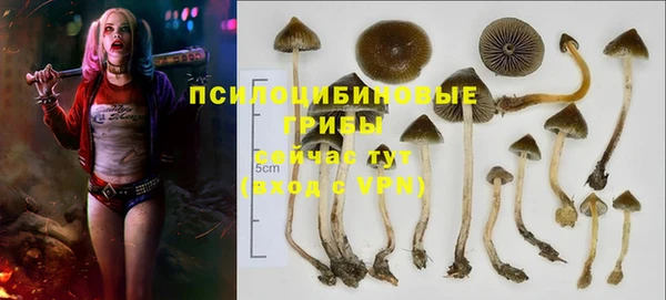 спайс Армянск