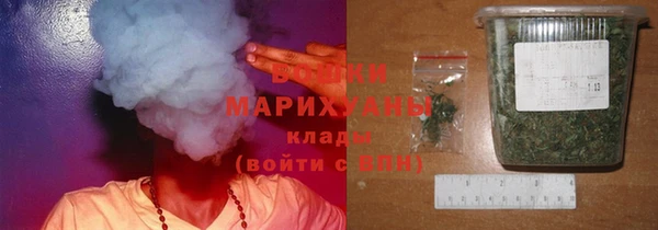 дурь Арсеньев
